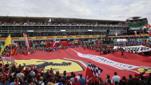 I tifosi della Rossa dopo il GP dello scorso anno. AP