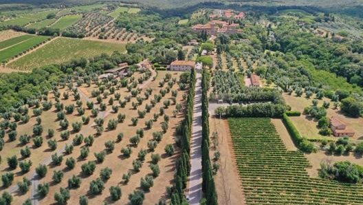 A spasso nel verde della Toscana. Foto Luca Bracali