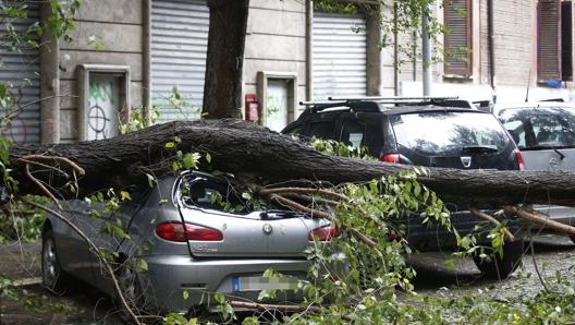 Alberi caduti per il maltempo a Roma. LaPresse