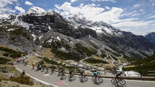 Il  Giro d’Italia 2017 sullo Stelvio. Bettini