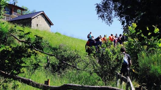 Tra i boschi delle montagne lombarde con le Guide Alpine della Lombardia