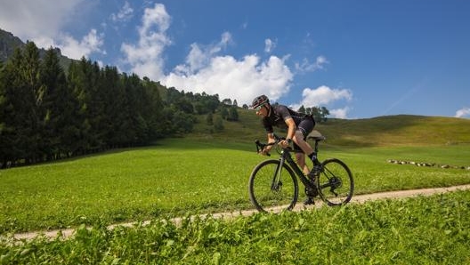 Le gravel e-bike sono adatte all’asfalto, le ciclovie sterrate e la ghiaia non troppo impegnativa. Whistle