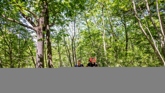 I percorsi segnalati per il trekking offrono ampie aree ombreggiate. @VisitSanMarino