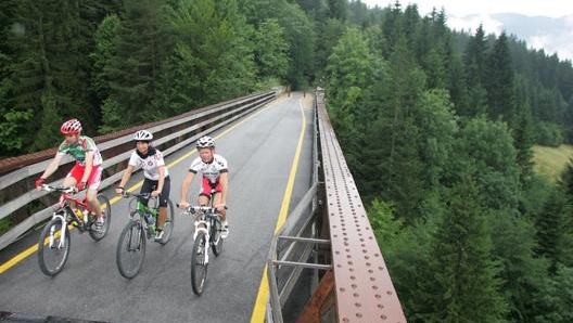 Un tratto della Ciclovia Alpe Adria a Tarvisio. PromoTurismoFVG/Ilario Biondi