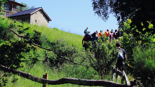 Tra i boschi delle montagne lombarde con le Guide Alpine della Lombardia