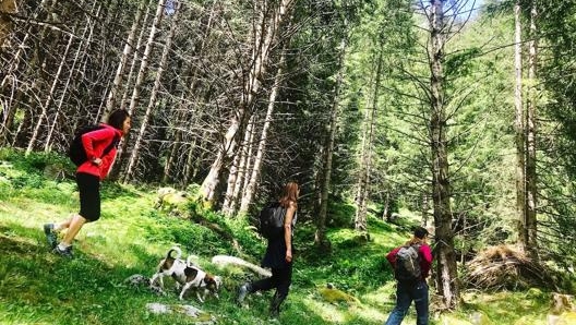 Tra i boschi delle montagne lombarde con le Guide Alpine della Lombardia