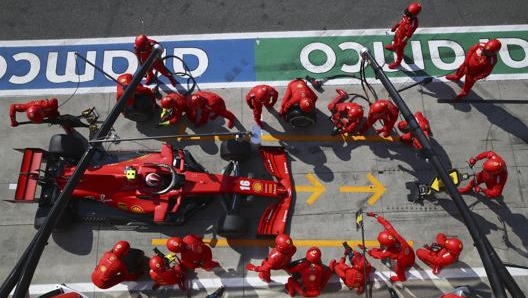 Un pit stop della Sf1000 numero 16 di Charles Leclerc. Lapresse