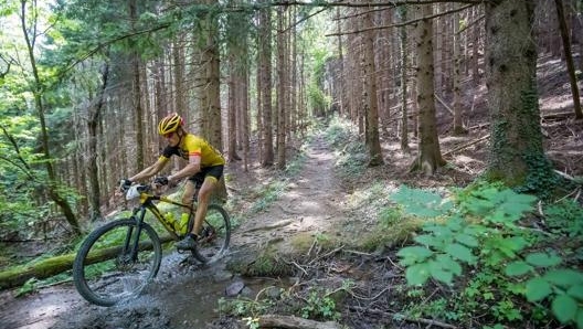 Nei Boschi di Carrega lungo l’anello di Collecchio dell’Appenninica Mtb Stage Race