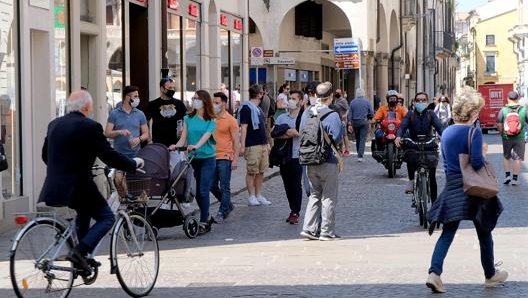 Padova centro. Ansa