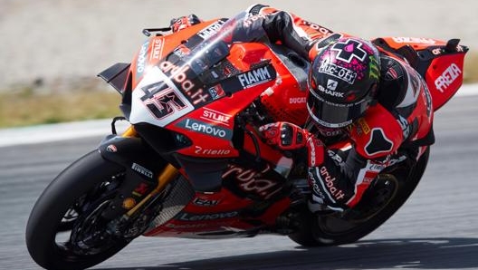 L’avversario numero 1 di Rea è Scott Redding (Ducati). Epa