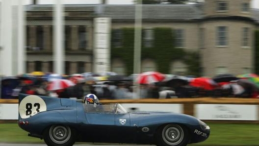 La Jaguar D-Type con linconfondibile pinna