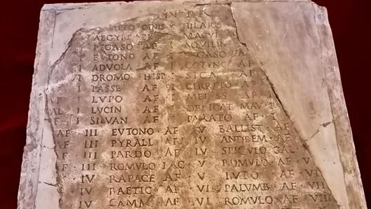 Sul reperto sono impresse le vittorie di Avilius Teres e i cavalli con i quali ha corso