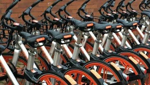 La pandemia ha segnato un ritorno del bike sharing