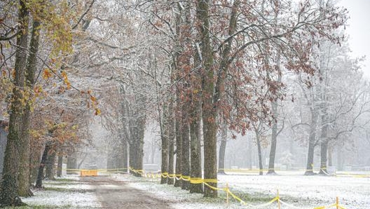 L’Autodromo di Monza sorge all’interno di un parco recintato di 700 ettari