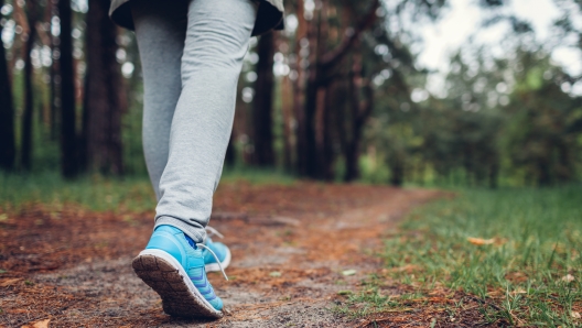 Camminare nella natura con consapevolezza