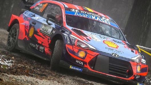 Thierry Neuville