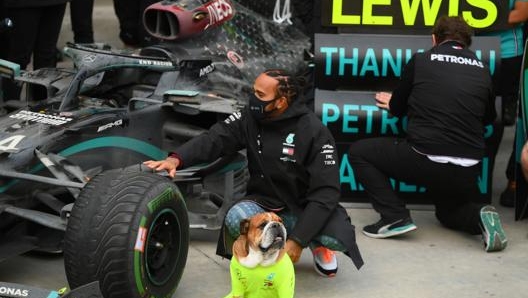 Lewis Hamilton con l’amata Mercedes e il fidato Roscoe. Getty