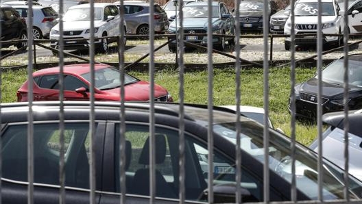 Nella legge di Bilancio è atteso il rinnovo degli incentivi per l’acquisto di auto nuove. Ansa