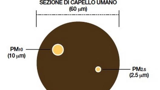 confronto tra la sezione di un capello umano e le dimensioni delle Pm10 e delle Pm2,5