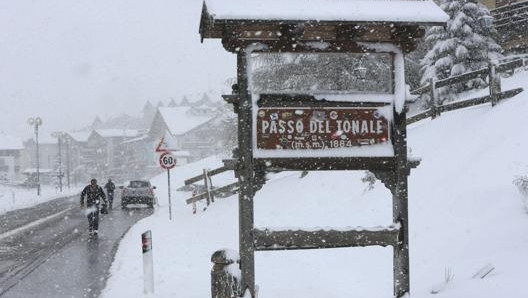 Il passo del Tonale in una foto d’archivio. Bettini