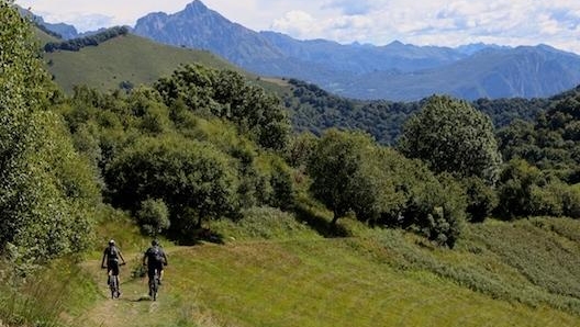 In mtb sulla Dorsale del Triangolo Lariano in estate. Masperi