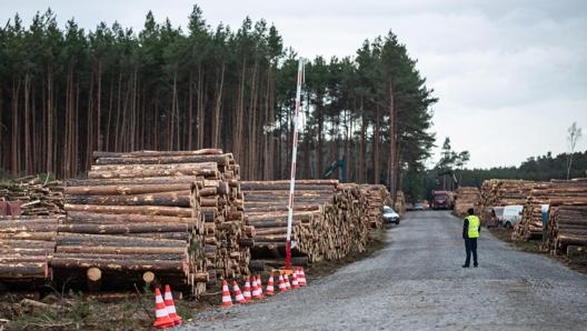 Riprendono i lavori per la costruzione della fabbrica Tesla in Germania. Epa