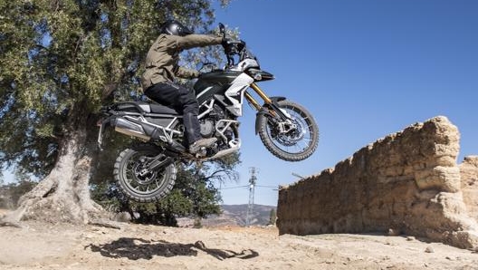 La Triumph Tiger Rally Pro in azione