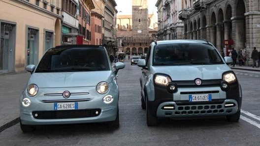 Le Fiat 500  e Panda