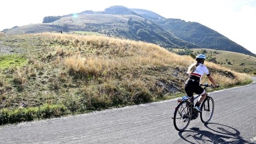 Trekking bike a pedalata assistita, perfette per i viaggi su strada e in città. Masperi