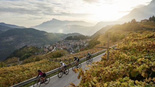 VIGNE E ARTE Cicloturisti tra i vigneti della Valle dell’Adige.