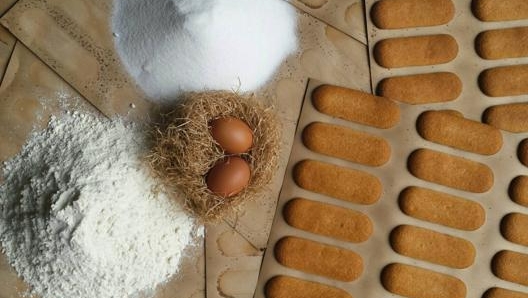 BISCOTTINI DI NOVARA  Creati nel 1852 da Camporelli riprendendo un’antica ricetta conventuale. Dolcetti pesopiuma (2 g l’uno), vengono cotti in forno due volte.