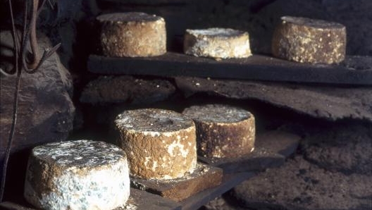 FORMAGGI, LA TOMA La toma affumicata è solo uno dei nomi noti tra i tanti formaggi di Biella e del Piemonte.