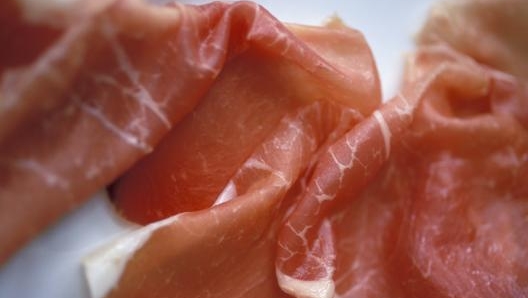 IL CULTAELLO E I SUOI FRATELLI  Se il Piacentino è la culla della coppa, nel Parmense ci sono le produzioni di culatello (Zibello; foto), salame (Felino), prosciutto crudo (Langhirano).