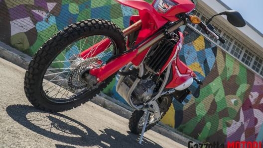 Design molto sportivo ma la 250 L è una enduro tranquilla