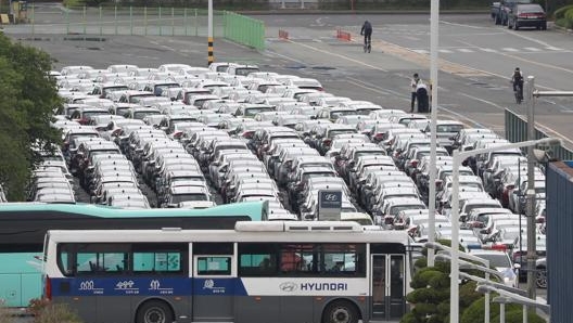 "Abbiamo un programma di sviluppo per navi, grandi camion e grandi bus a idrogeno"