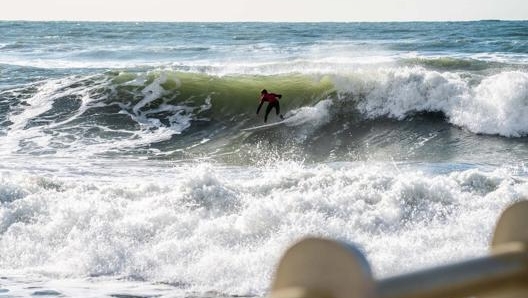 (Foto di Tommaso Pardini)