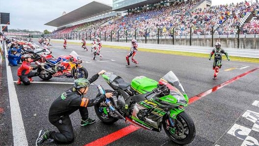 La partenza con rincorsa alla 8 Ore di Suzuka