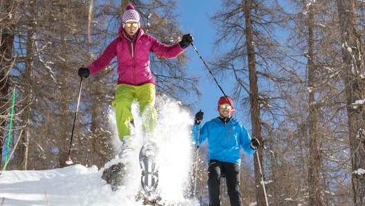 I percorsi gestiti per racchette da neve a Livigno includono il monitoraggio delle presenze sui sentieri tramite lo smartphone