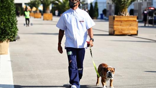 Hamilton con il suo cane Roscoe a spasso per il paddock di Istanbul. Getty