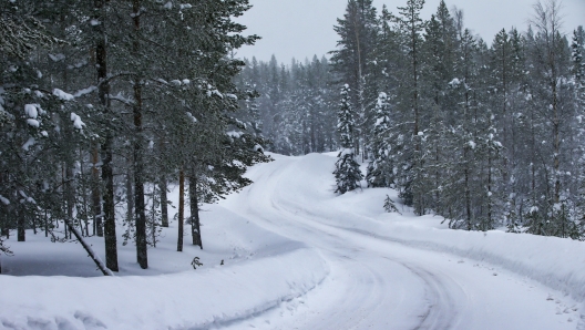 Come si presentava l’area di Rovaniemi a pochi giorni dal Rally di Finlandia 2021. Toyota Gazoo Racing