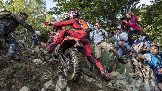 Manuel Lettenbichler, campione Wess 2019 e 2020