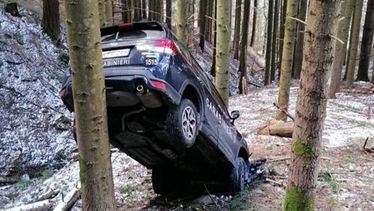 Lauto dei carabinieri  precipitata nel bosco