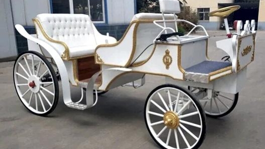 La carrozza, in versione modena