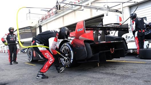 I meccanici Toyota in un pit-stop al Paul Ricard