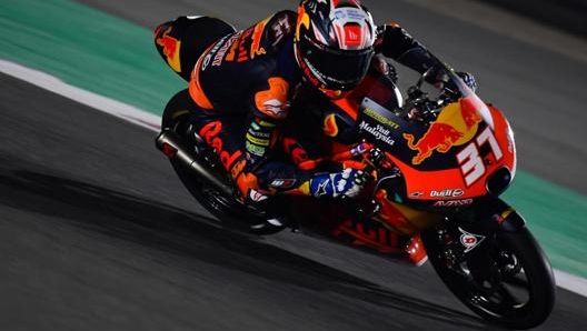 Pedro Acosta vince la gara della Moto3 del GP di Doha