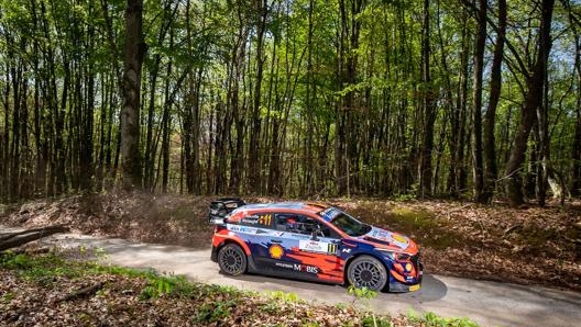 Il belga Thierry Neuville su Hyundai i20 in Croazia