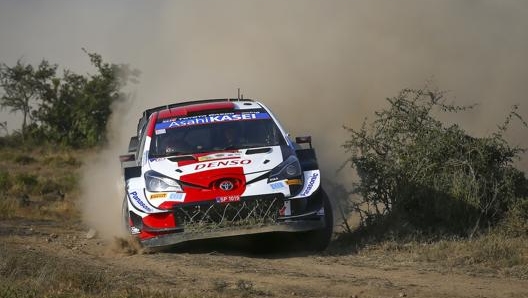 Elfyn Evans