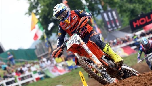 Tony Cairoli