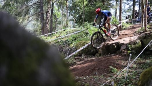 Il tracciato del cross country in Val di Sole. Foto: Daniele Molineris