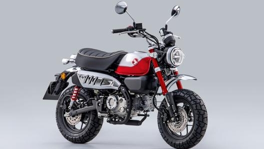 Il modello 2022 di Honda Monkey sarà omologato Euro5